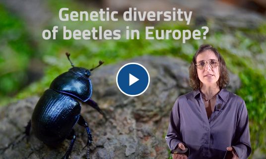 Joana Castro Paup&eacute;rio