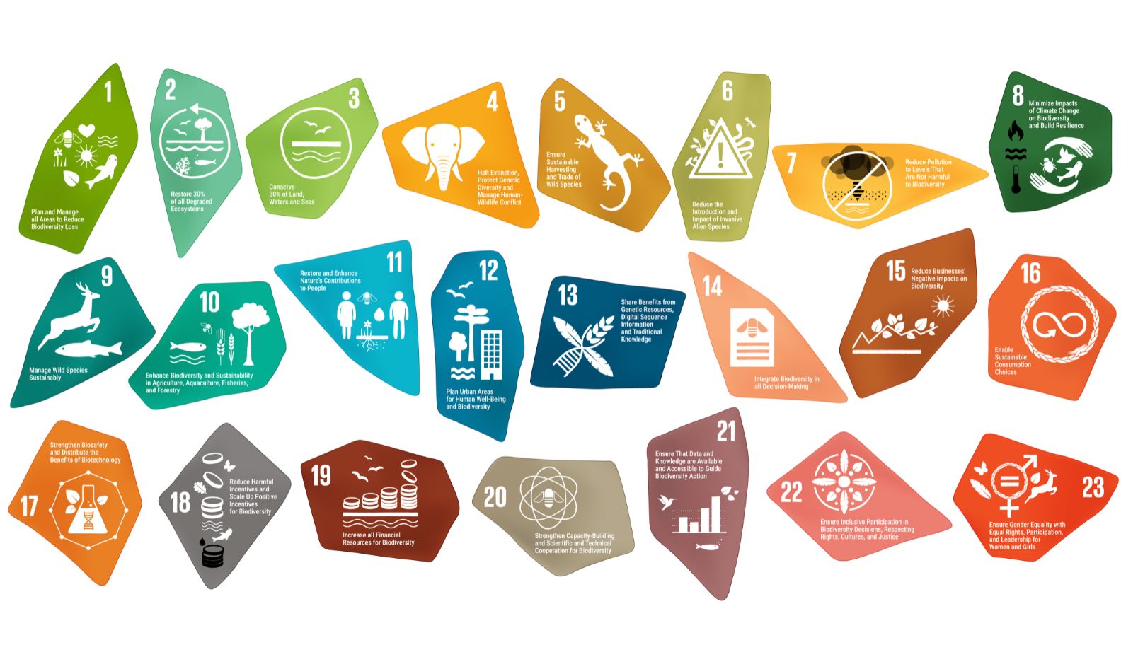 Kunming-Montreal Global Biodiversity Framework