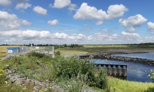 RESTORE4Cs Policy Briefs