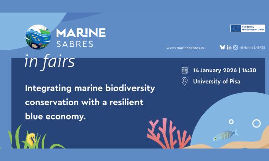 Marine SABRES in FAIRS