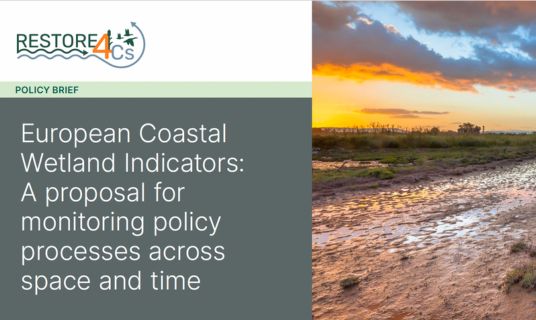 RESTORE4Cs Policy Briefs 6-7