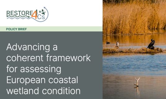 RESTORE4Cs Policy Briefs 8-9