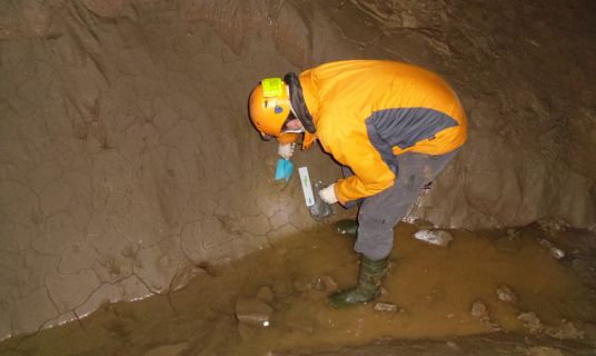 LifeWatch Italy Conference