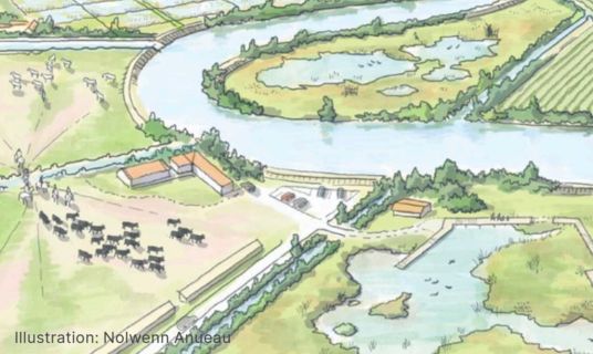 RESTORE4Cs policy brief 10