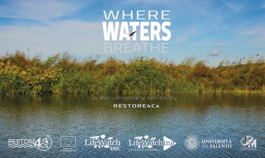 Where Waters Breathe