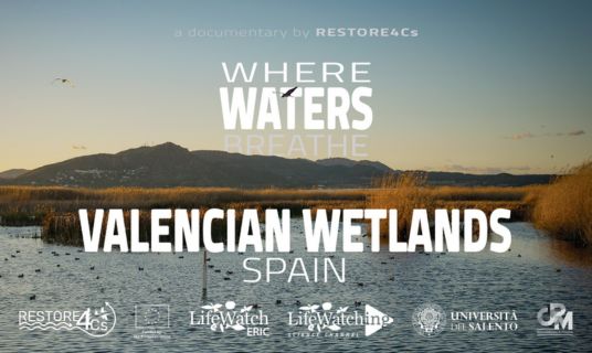 Where Waters Breathe - Valencia
