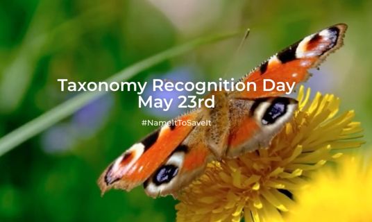 taxonomists