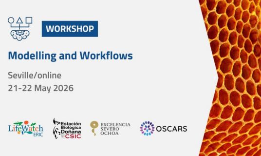 Modelling workflows