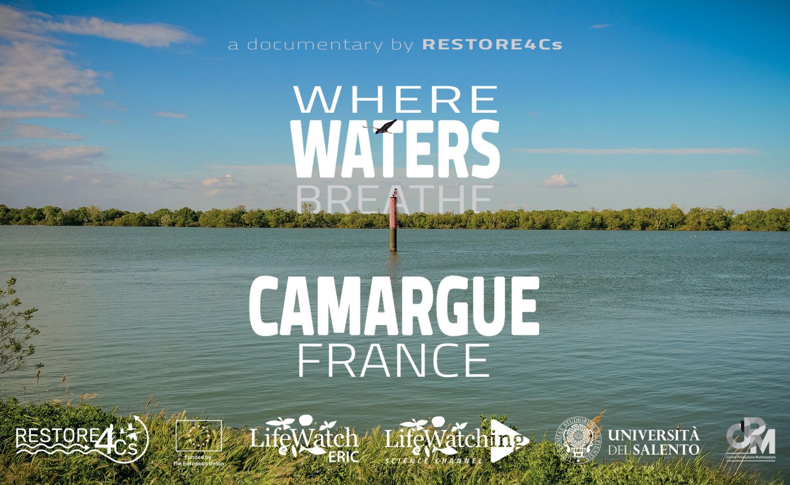 Where Waters Breathe - Camargue