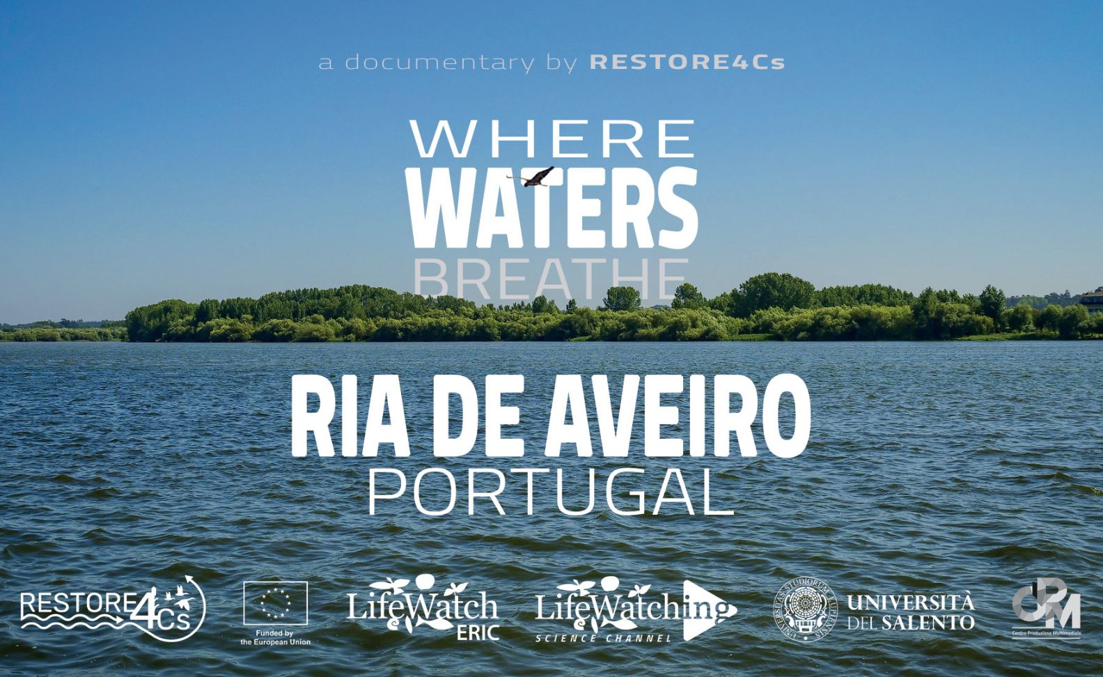 Where Waters Breathe - Aveiro