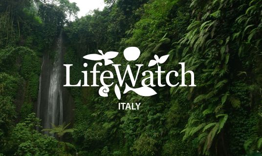 LifeWatch Italy Linkedin
