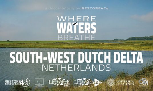 Where Waters Breathe - Dutch Delta