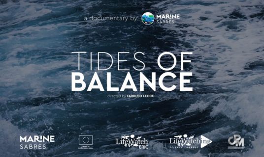 Marine SABRES Tides of Balance