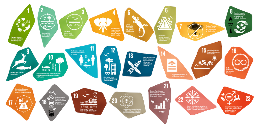 The Kunming-Montreal Global Biodiversity Framework