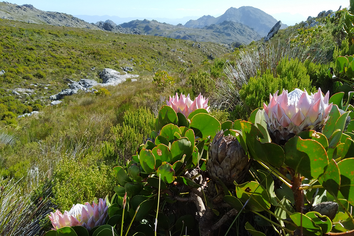 Cape Town, South Africa