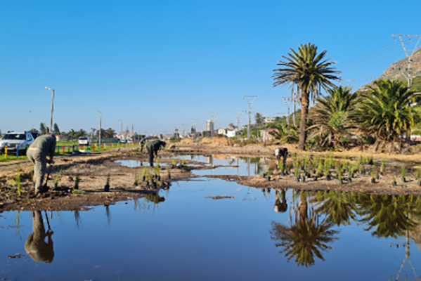 Cape Town, South Africa