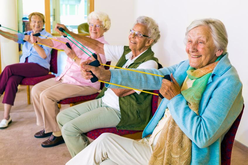 https://stratus.campaign-image.eu/images/32883000013693012_zc_v1_1696330172750_seated_exercises_(1).jpg