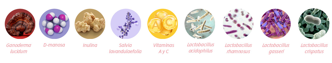 Ingredientes activos naturales para el cuidado &iacute;ntimo