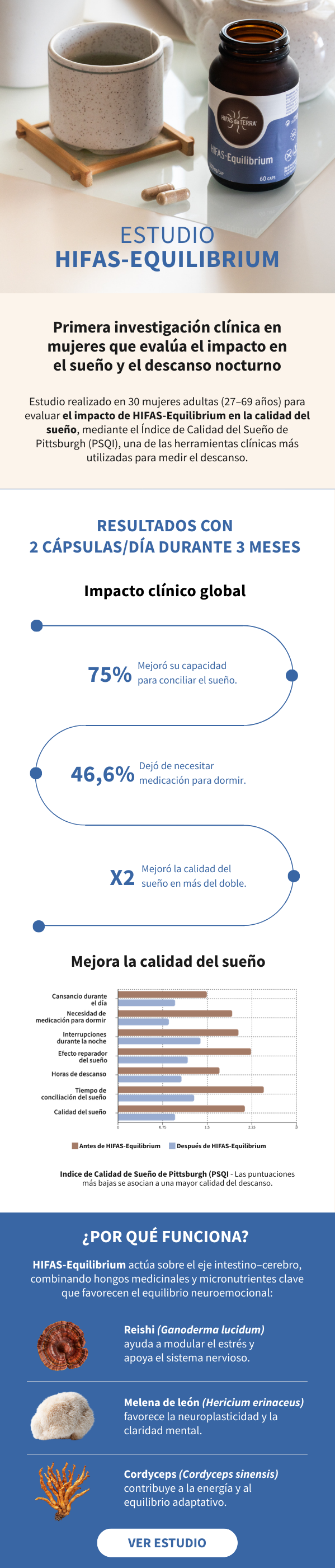 ¿Por qué Hifas-Equilibrium funciona?