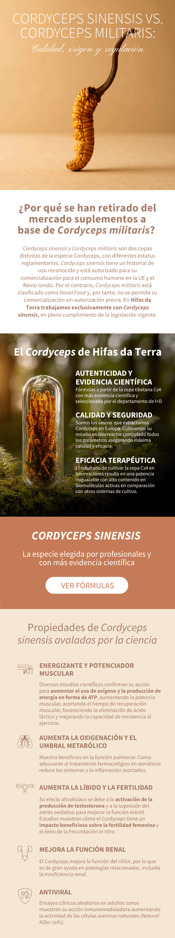 Sinensis vs. Militaris