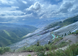 https://stratus.campaign-image.eu/images/68905000038462006_zc_v1_1738139449997_znshine.png