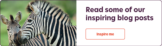 https://campaigns.zoho.eu/campaigns/zceditor/jsp/Inspire%20me