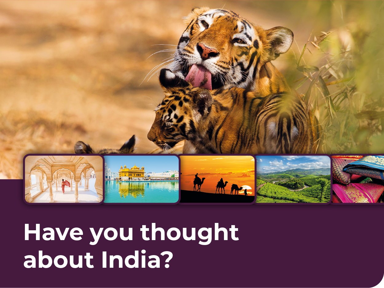 Choose the tour that gives you more