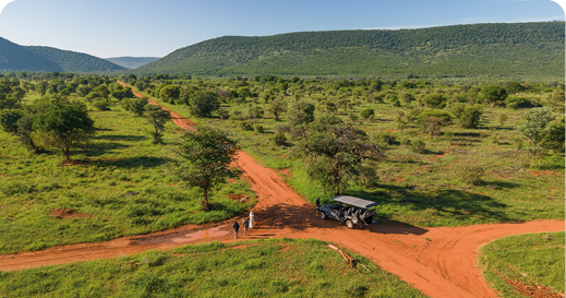 Qwabi Private Game Reserve African Safari Experience