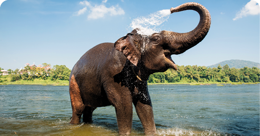 South India - Temples and Waterways