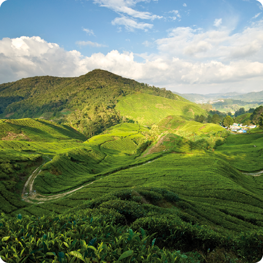 Malaysia