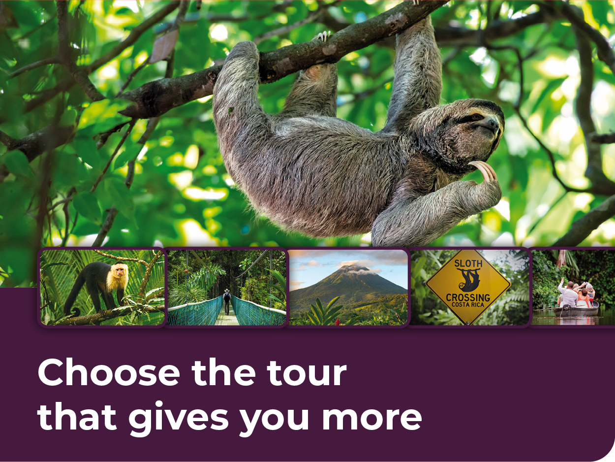 Choose the tour that gives you more