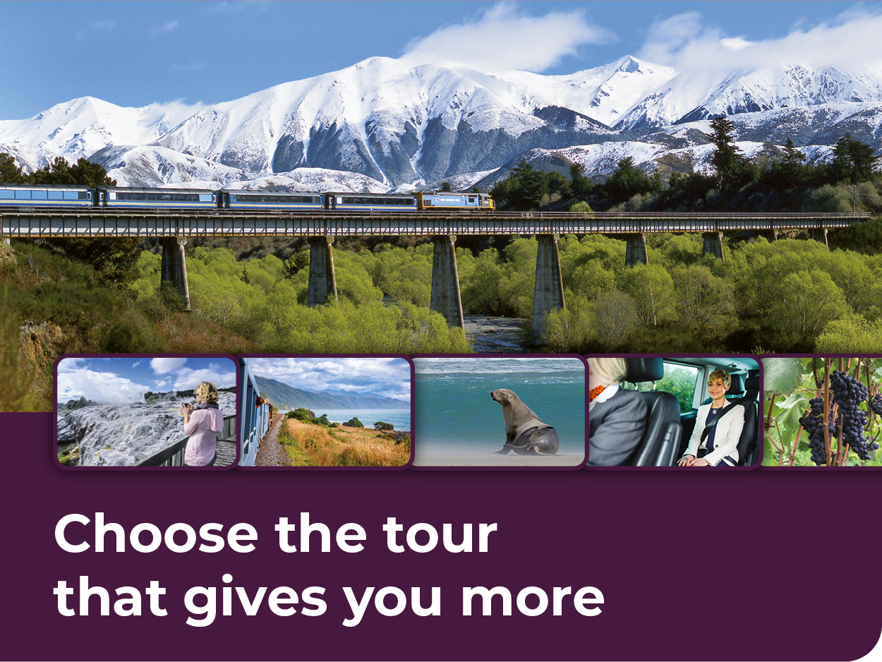 Choose the tour that gives you more