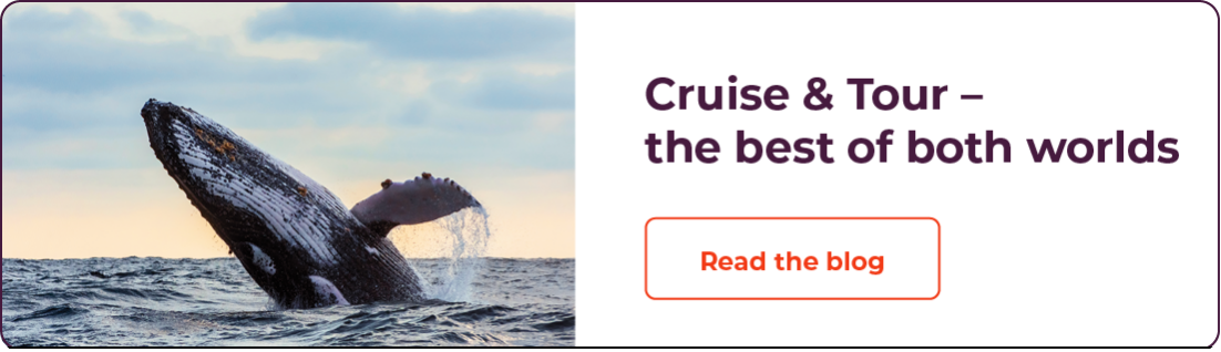Cruise & Tour Blog