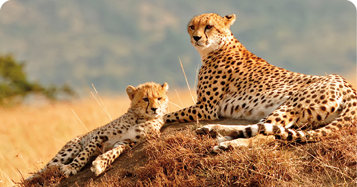 South Africa