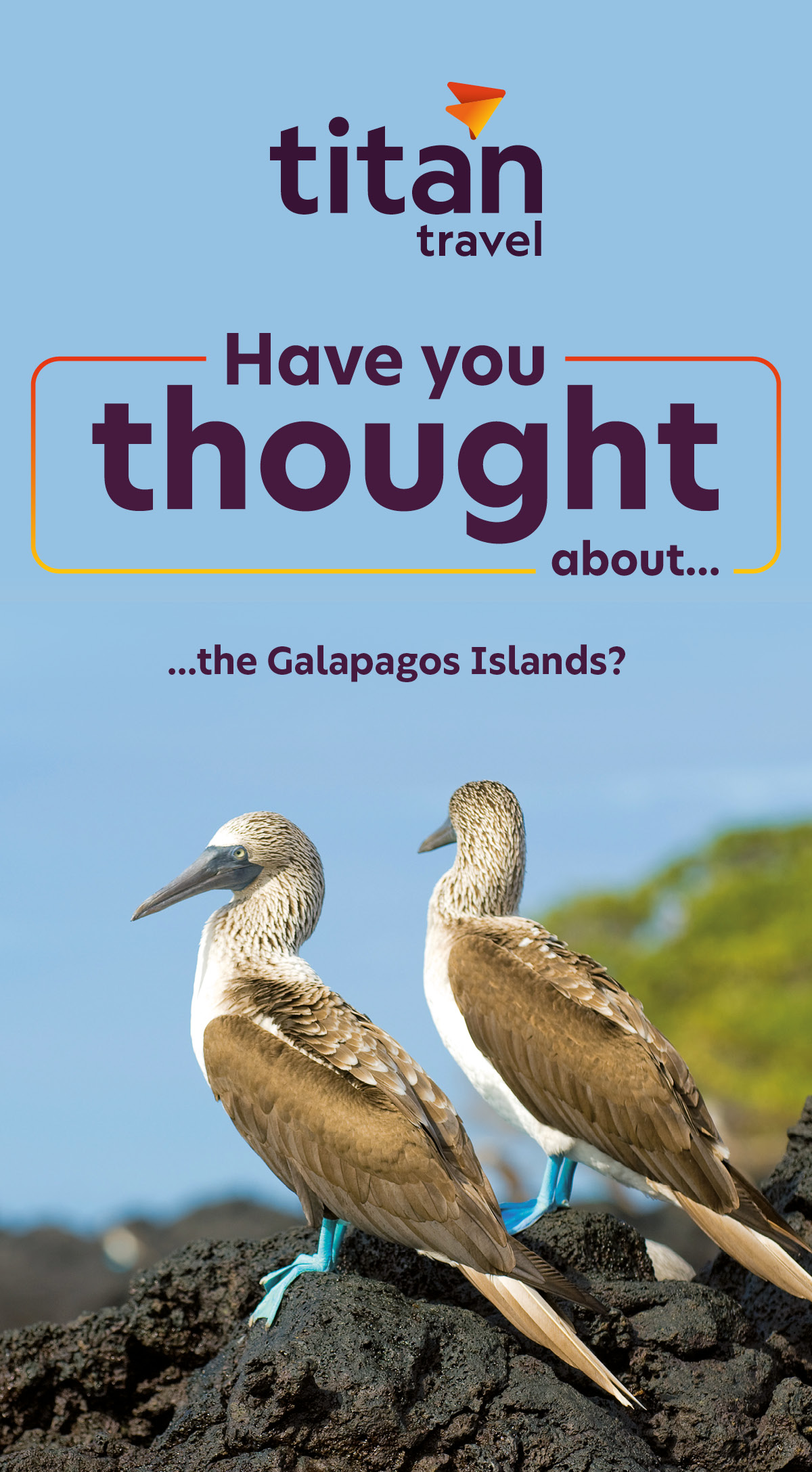 Have you thought about...
