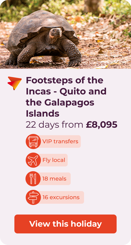 Footsteps of the Incas