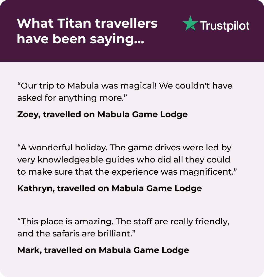 Trustpilot Review