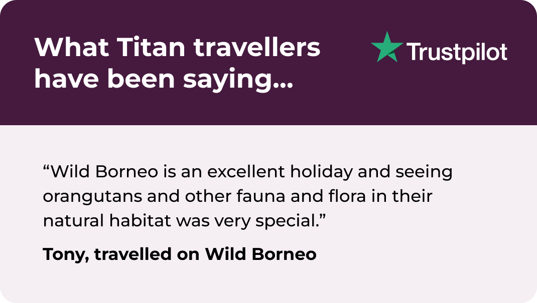 Trustpilot Review