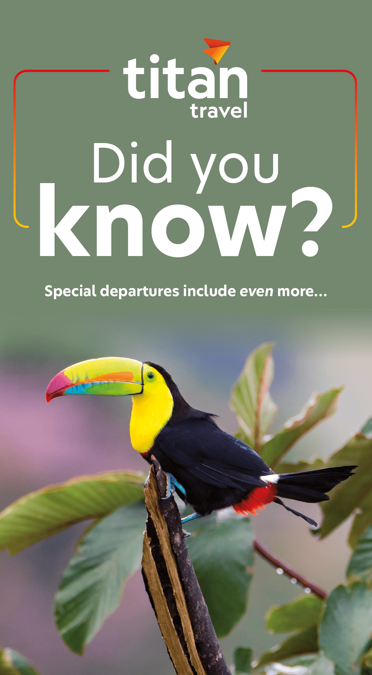 Did you know?