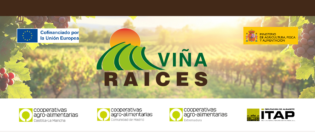https://campaign-image.com/zohocampaigns/133052000002460816_zc_v24_last.png