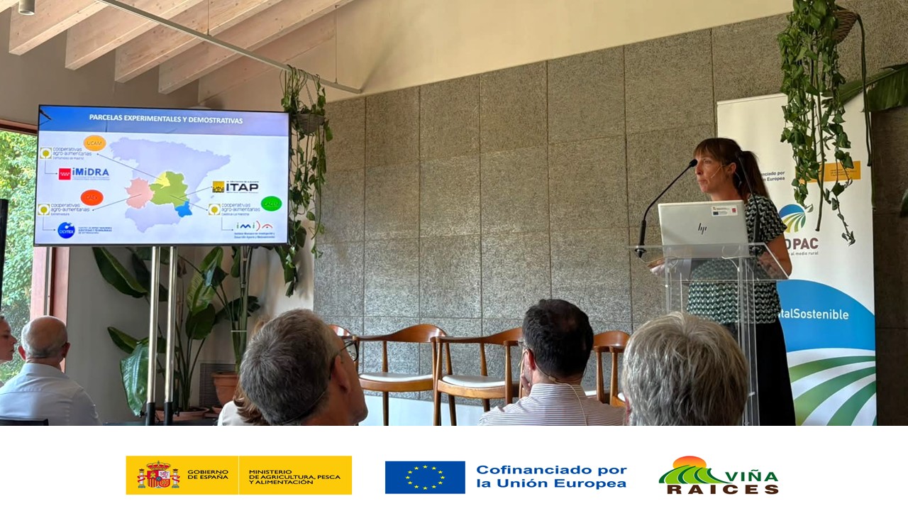 https://stratus.campaign-image.eu/images/88941000012633003_zc_v1_1765789964388_foro_familia.jpg