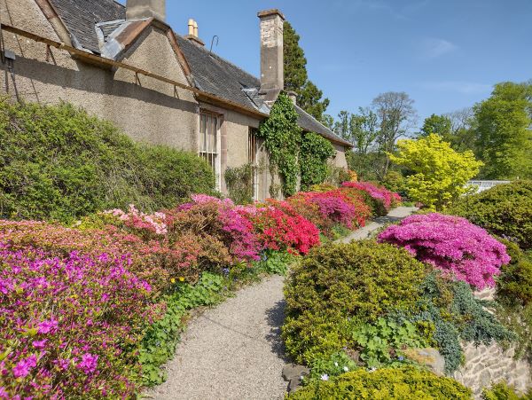 https://stratus.campaign-image.eu/images/99721000002957066_zc_v1_1746180433716_geilston_gardens.jpg