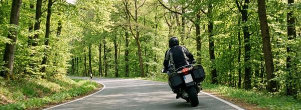 Motorrad auf Waldstraße im Frühling